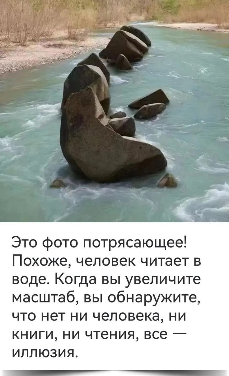 Это фото потрясающее! Похоже, человек читает в воде. Когда вы увеличите масштаб, вы обнаружите, что нет ни человека, ни книги, ни чтения, все — иллюзия.