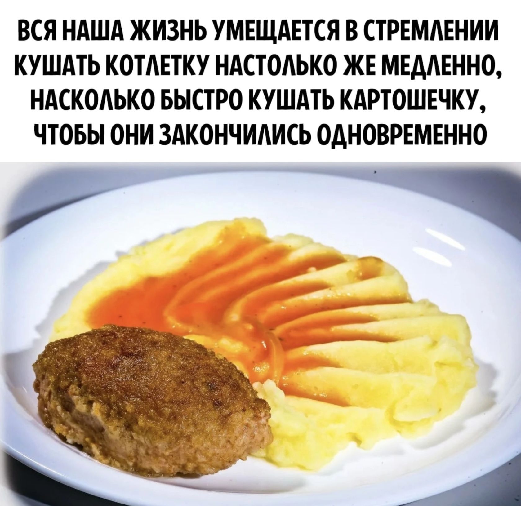 ВСЯ НАША ЖИЗНЬ УМЕЩАЕТСЯ В СТРЕМЛЕНИИ КУШАТЬ КОТЛЕТКУ НАСТОЛЬКО ЖЕ МЕДЛЕННО, НАСКОЛЬКО БЫСТРО КУШАТЬ КАРТОШЕЧКУ, ЧТОБЫ ОНИ ЗАКОНЧИЛИСЬ ОДНОВРЕМЕННО