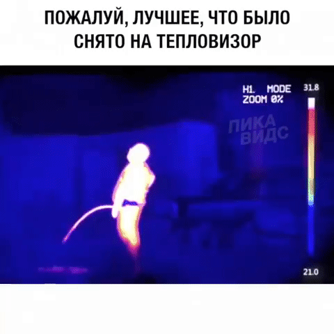ПОЖАЛУЙ, ЛУЧШЕЕ, ЧТО БЫЛО СНЯТО НА ТЕПЛОВИЗОР