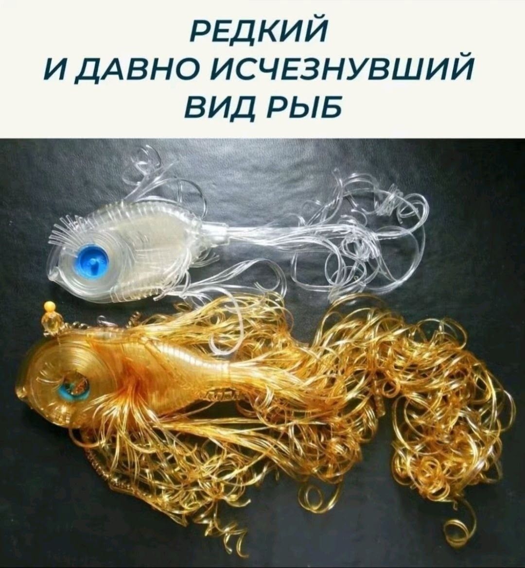 РЕДКИЙ И ДАВНО ИСЧЕЗНУВШИЙ ВИД РЫБ