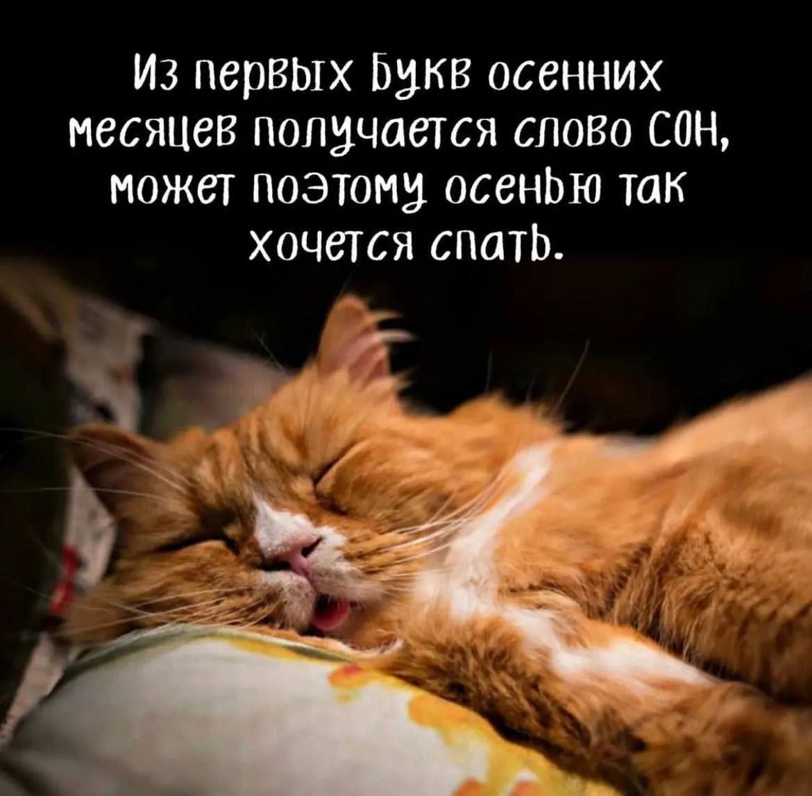 Из первых букв осенних месяцев получается слово СОН, может поэтому осенью так хочется спать.