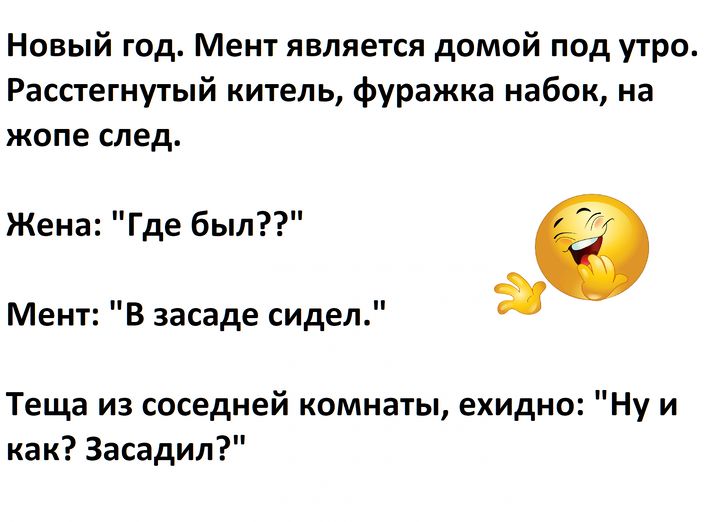 Новый год. Мент является домой под утро. Расстегнутый китель, фуражка набок, на жопе след.
Жена: 