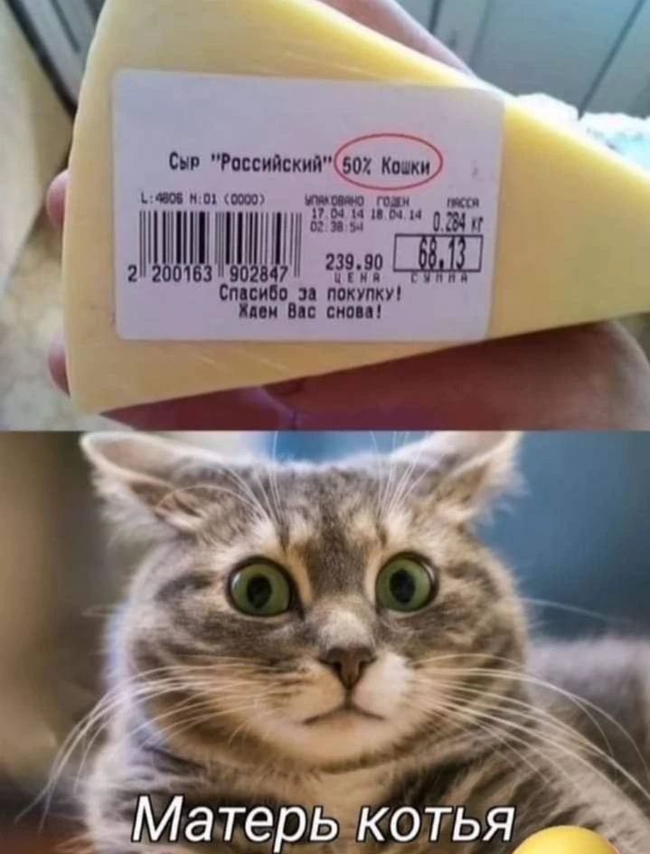 Сыр 