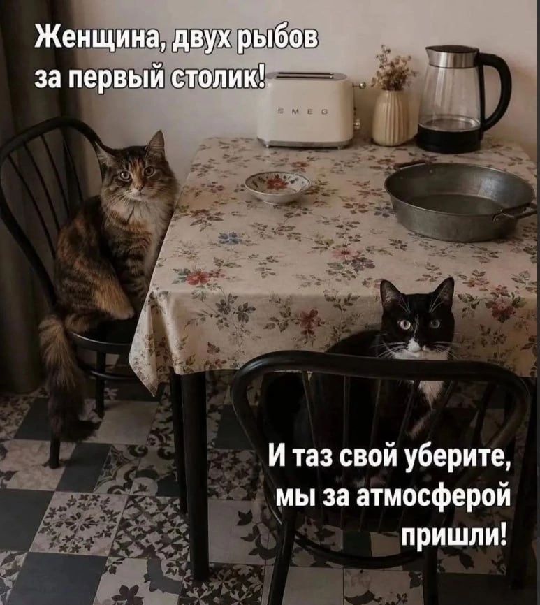 Женщина, двух рыбов за первый столик! И таз свой уберите, мы за атмосферой пришли!