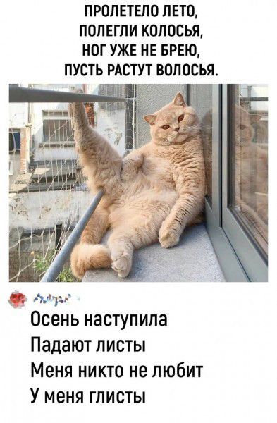 ПРОЛЕТЕЛО ЛЕТО, ПОЛЕГЛИ КОЛОСЬЯ, НОГ УЖЕ НЕ БРЕЮ, ПУСТЬ РАСТУТ ВОЛОСЬЯ. Осень наступила Падают листы Меня никто не любит У меня глисты