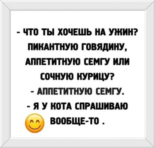 Что ты хочешь на ужин? Пикантную говядину, аппетитную семгу или сочную курицу? Аппетитную семгу. Я у кота спрашиваю вообще-то.