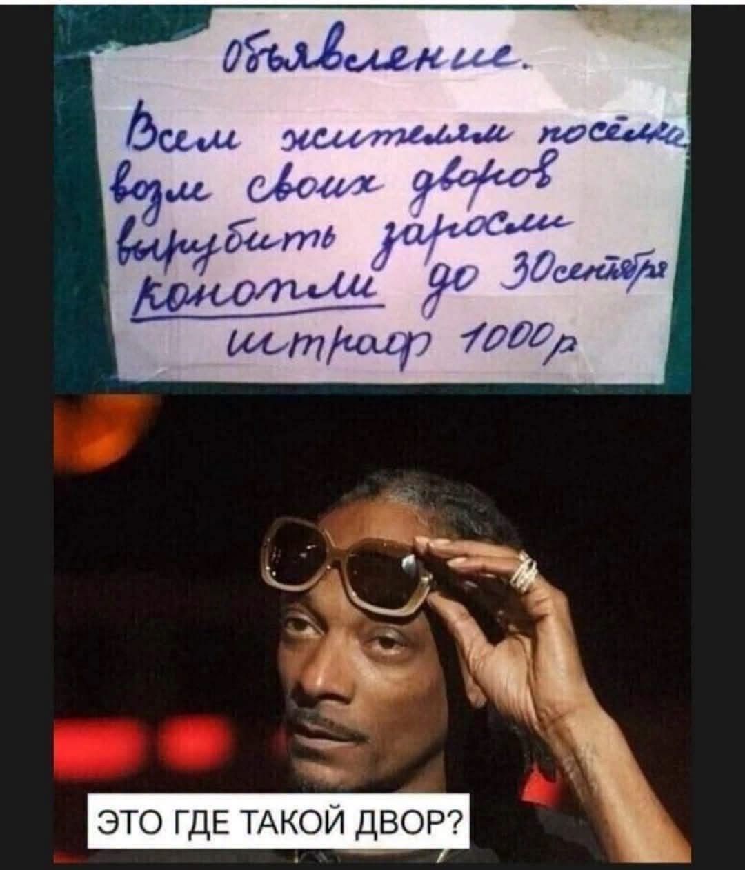 Объявление. Всем жителям поселка возле своих дворов вырубить заросли конопли до 30 сентября штраф 1000р. ЭТО ГДЕ ТАКОЙ ДВОР?