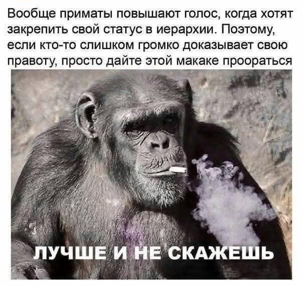 Вообще приматы повышают голос, когда хотят закрепить свой статус в иерархии. Поэтому, если кто-то слишком громко доказывает свою правоту, просто дайте этой макаке проораться. ЛУЧШЕ И НЕ СКАЖЕШЬ