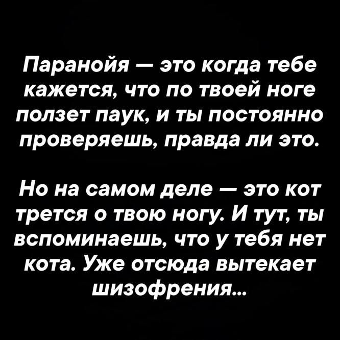 Паранойя — это когда тебе кажется, что по твоей ноге ползет паук, и ты постоянно проверяешь, правда ли это. Но на самом деле — это кот трется о твою ногу. И тут, ты вспоминаешь, что у тебя нет кота. Уже отсюда вытекает шизофрения...