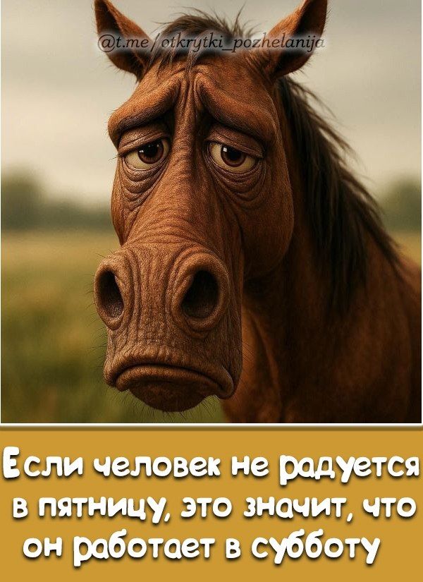 Если человек не радуется в пятницу, это значит, что он работает в субботу