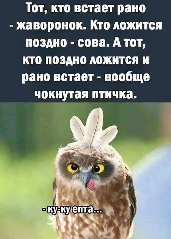 Тот, кто встает рано - жаворонок. Кто ложится поздно - сова. А тот, кто поздно ложится и рано встает - вообще чокнутая птичка. - ку-ку епта...
