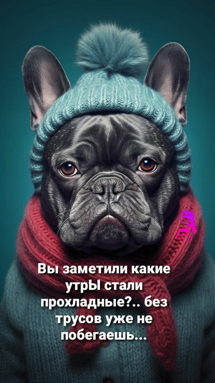 Вы заметили какие утры стали прохладные?.. без трусов уже не побегаешь...