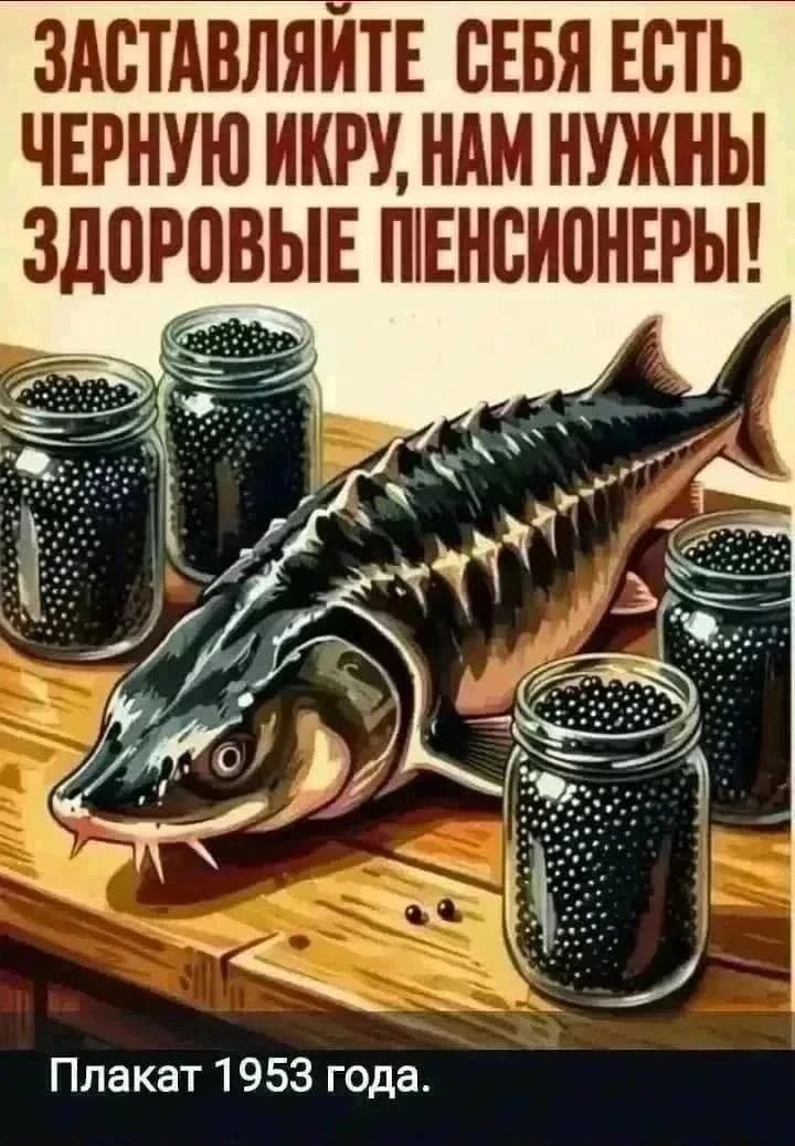 ЗАСТАВЛЯЙТЕ СЕБЯ ЕСТЬ ЧЕРНУЮ ИКРУ, НАМ НУЖНЫ ЗДОРОВЫЕ ПЕНСИОНЕРЫ! Плакат 1953 года.