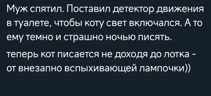 Муж спятил. Поставил детектор движения в туалете, чтобы коту свет включался. А то ему темно и страшно ночью писать. теперь кот писается не доходя до лотка - от внезапно вспыхивающей лампочки))