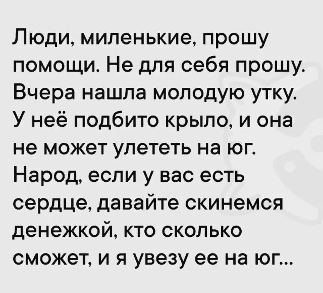 Люди, миленькие, прошу помощи. Не для себя прошу. Вчера нашла молодую утку. У неё подбито крыло, и она не может улететь на юг. Народ, если у вас есть сердце, давайте скинемся денежкой, кто сколько сможет, и я увезу её на юг...