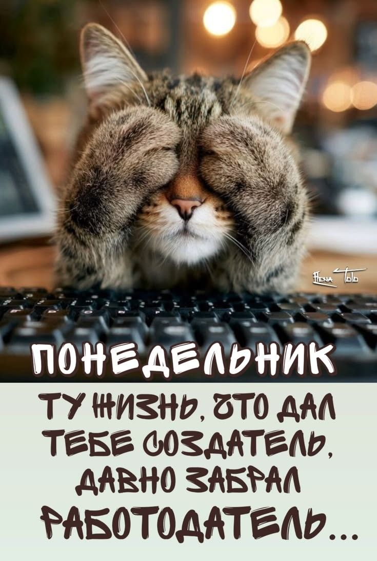 ПОНЕДЕЛЬНИК ТУ ЖИЗНЬ, ЧТО ДАЛ ТЕБЕ СОЗДАТЕЛЬ, ДАВНО ЗАБРАЛ РАБОТОДАТЕЛЬ...