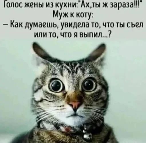 Голос жены из кухни: 