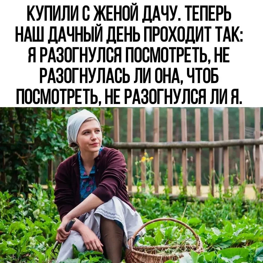 КУПИЛИ С ЖЕНОЙ ДАЧУ. ТЕПЕРЬ НАШ ДАЧНЫЙ ДЕНЬ ПРОХОДИТ ТАК: Я РАЗОГНУЛСЯ ПОСМОТРЕТЬ, НЕ РАЗОГНУЛАСЬ ЛИ ОНА, ЧТОБ ПОСМОТРЕТЬ, НЕ РАЗОГНУЛСЯ ЛИ Я.