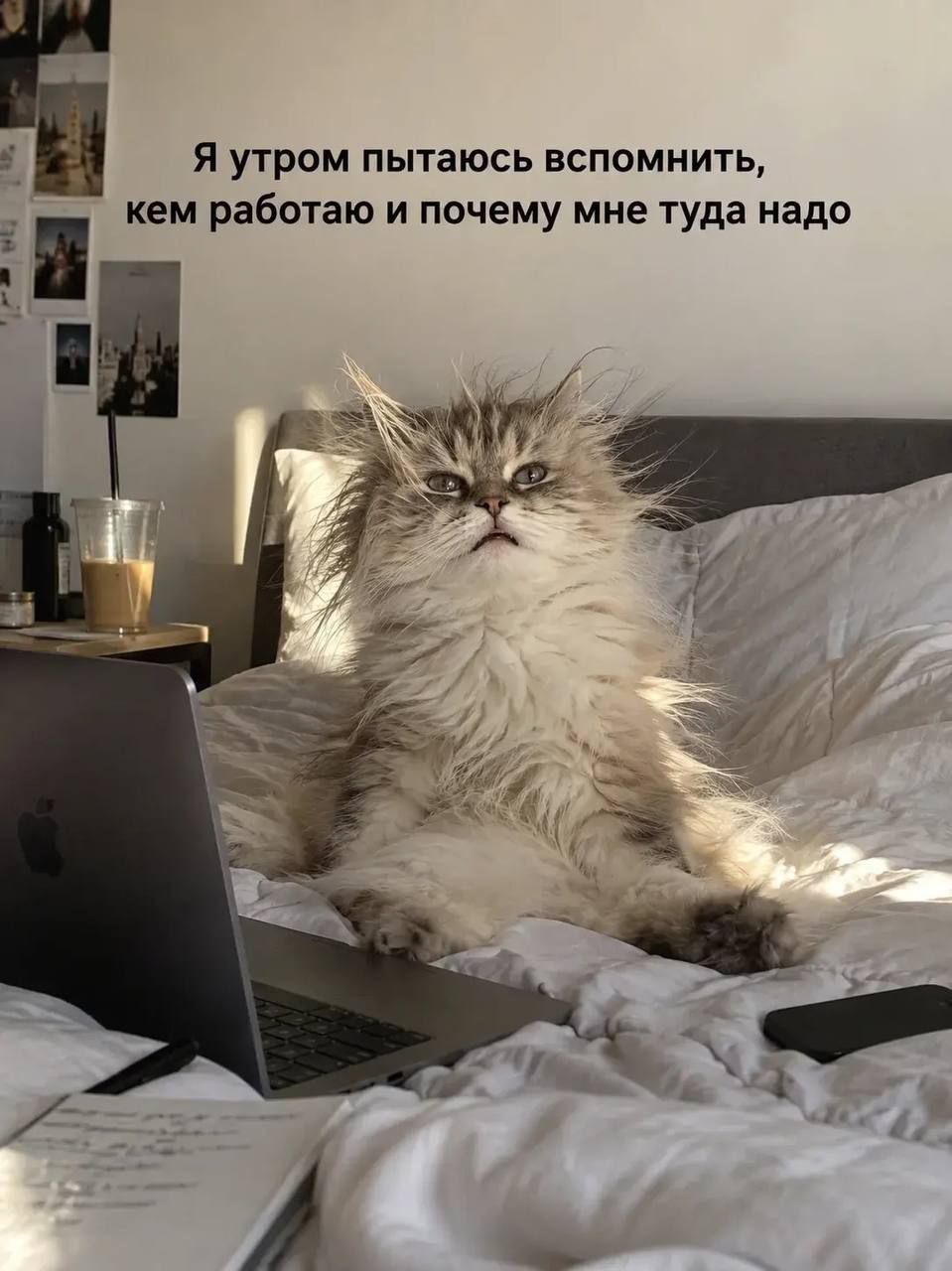 Я утром пытаюсь вспомнить, кем работаю и почему мне туда надо