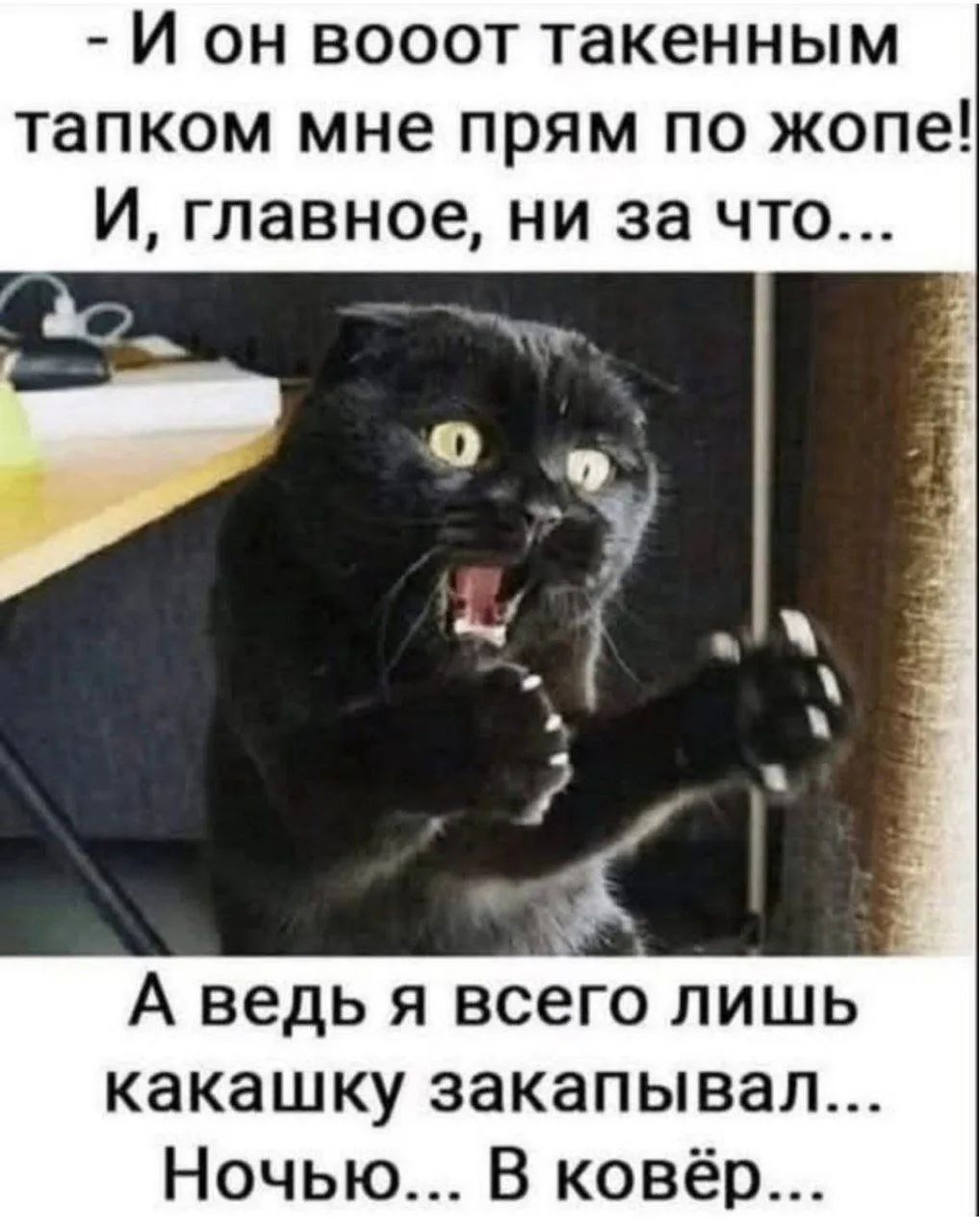 - И он вооот такенным тапком мне прям по жопе! И, главное, ни за что... А ведь я всего лишь какашку закапывал... Ночью... В ковёр...