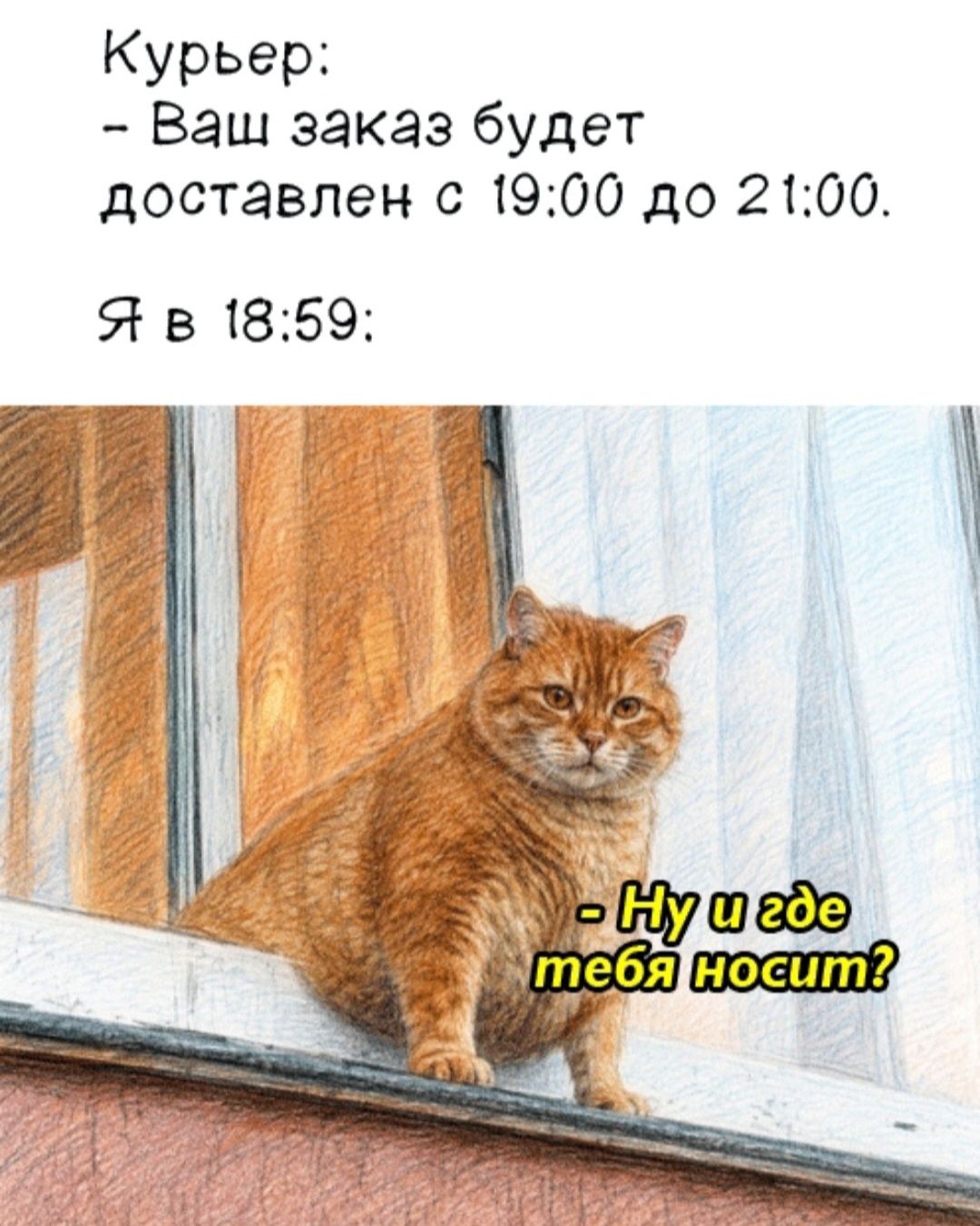 Курьер: - Ваш заказ будет доставлен с 19:00 до 21:00. Я в 18:59: - Ну и где тебя носит?