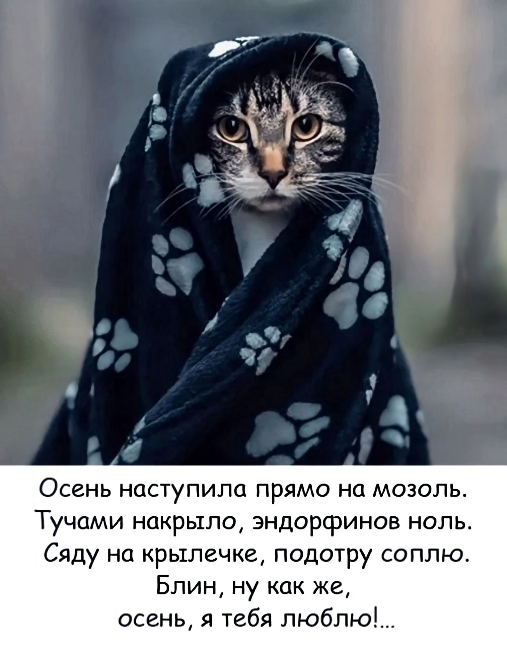 Осень наступила прямо на мозоль. Тучами накрыло, эндорфинов ноль. Сяду на крылечке, подотру соплю. Блин, ну как же, осень, я тебя люблю!...
