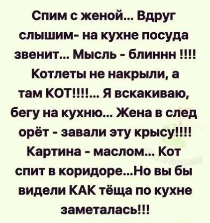 Спим с женой... Вдруг слышим- на кухне посуда звенит... Мысль - блиннн !!!! Котлеты не накрыли, а там КОТ!!!!... Я вскакиваю, бегу на кухню... Жена в след орёт - завали эту крысу!!!! Картина - маслом... Кот спит в коридоре...Но вы бы видели КАК тёща по кухне заметалась!!!