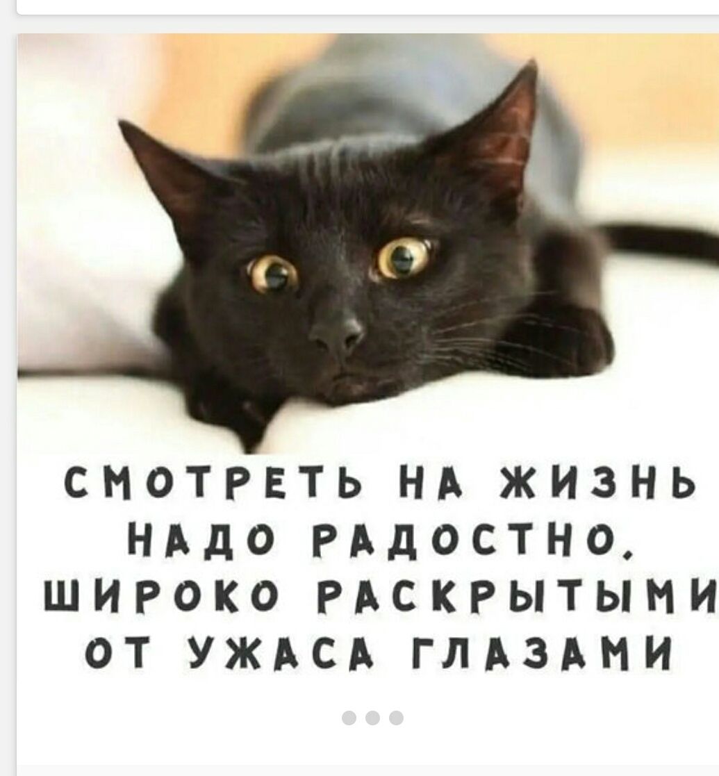 СМОТРЕТЬ НА ЖИЗНЬ НАДО РАДОСТНО, ШИРОКО РАСКРЫТЫМИ ОТ УЖАСА ГЛАЗАМИ