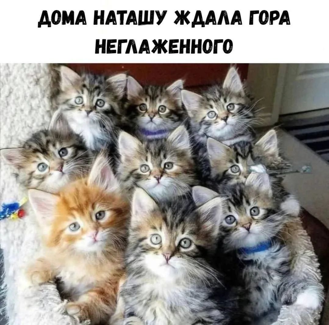 ДОМА НАТАШУ ЖДАЛА ГОРА НЕГЛАЖЕННОГО