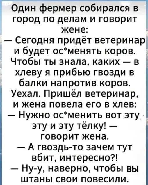 Один фермер собирался в город по делам и говорит жене:
— Сегодня придёт ветеринар и будет ос*менять коров. Чтобы ты знала, каких — в хлеву я прибью гвозди в балки напротив коров. Уехал. Пришёл ветеринар, и жена повела его в хлев:
— Нужно ос*менить вот эту и эту тёлку! — говорит жена.
— А гвоздь-то зачем тут вбит, интересно?!
— Ну-у, наверно, чтобы 