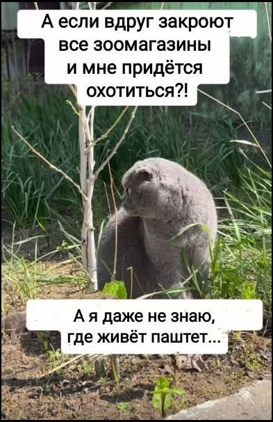 А если вдруг закроют все зоомагазины и мне придётся охотиться?! А я даже не знаю, где живёт паштет...