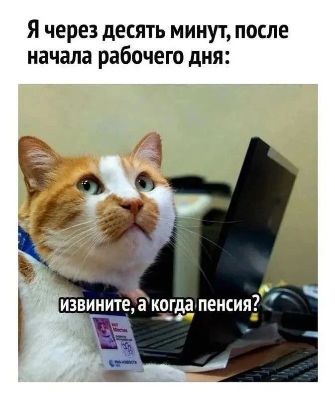 Я через десять минут, после начала рабочего дня: извините, а когда пенсия?