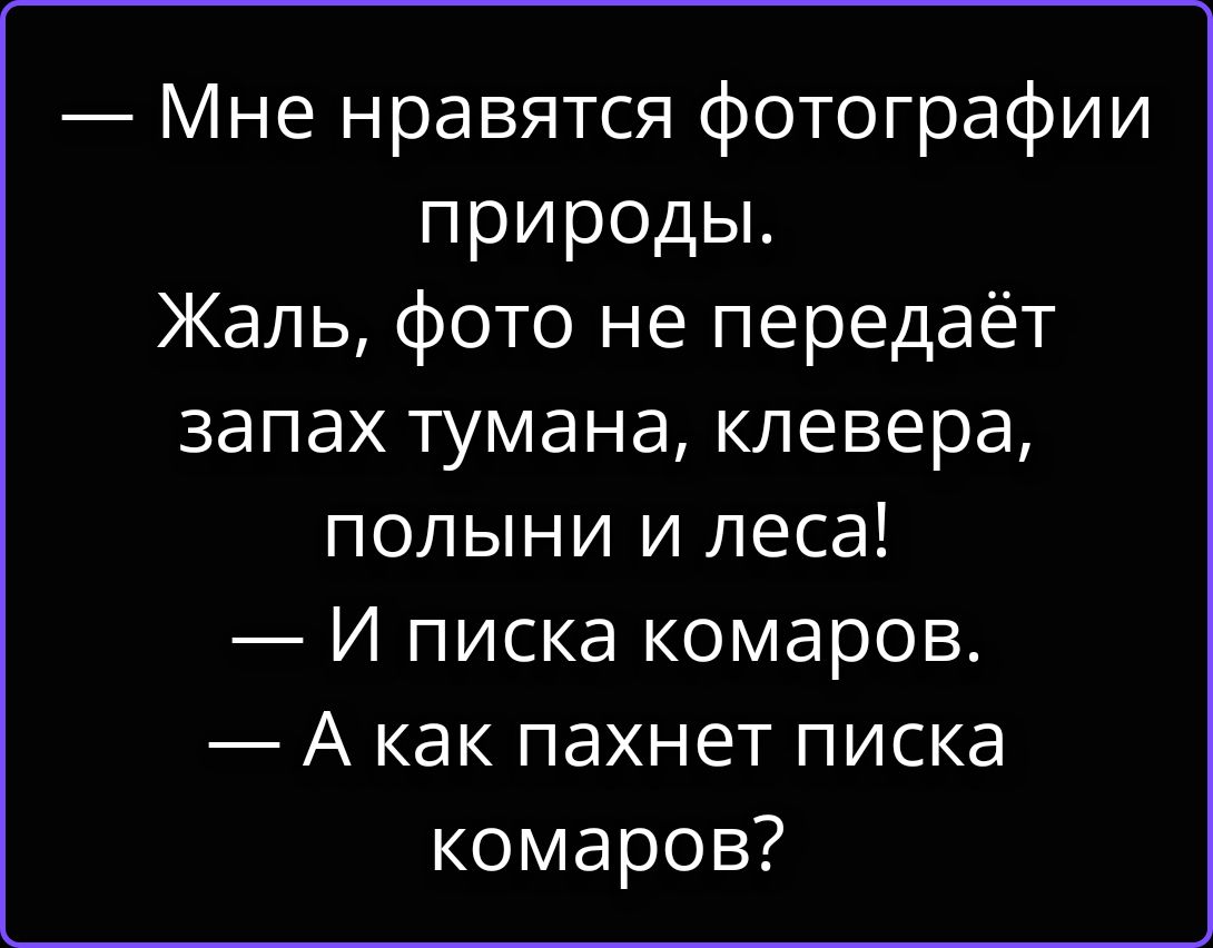 Мне нравятся фотографии природы. Жаль, фото не передаёт запах тумана, клевера, полыни и леса! И писка комаров. А как пахнет писка комаров?