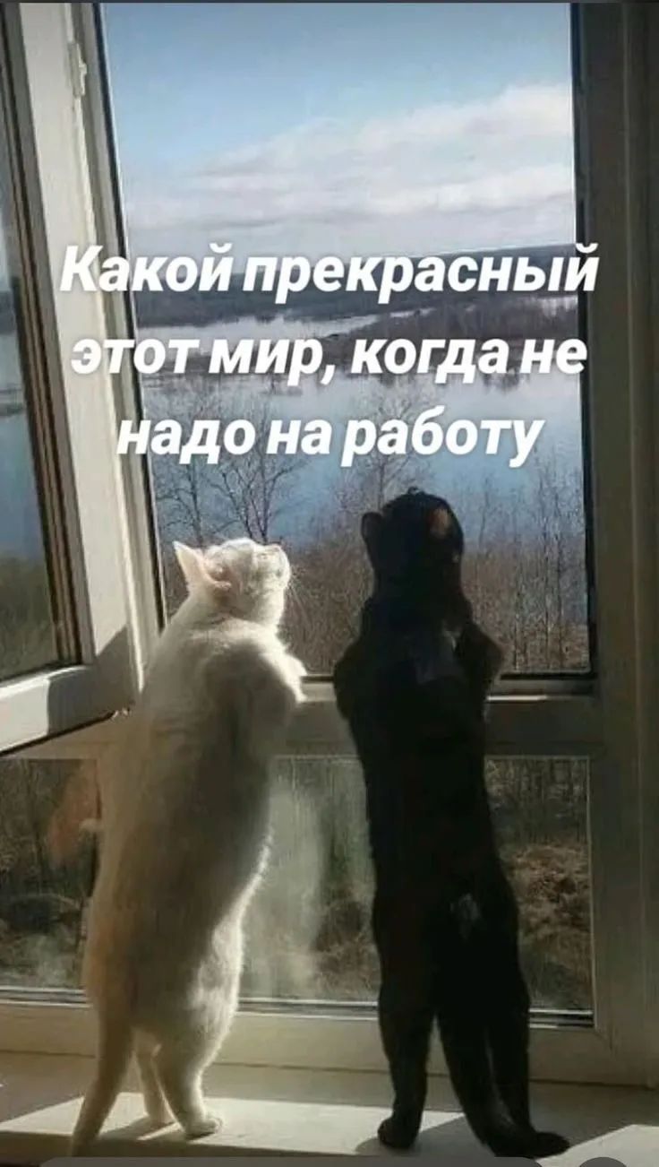 Какой прекрасный этот мир, когда не надо на работу
