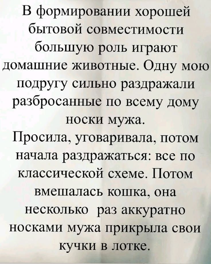 В формировании хорошей бытовой совместимости большую роль играют домашние животные. Одну мою подругу сильно раздражали разбросанные по всему дому носки мужа. Просила, уговаривала, потом начала раздражаться: все по классической схеме. Потом вмешалась кошка, она несколько раз аккуратно носками мужа прикрыла свои кучки в лотке.