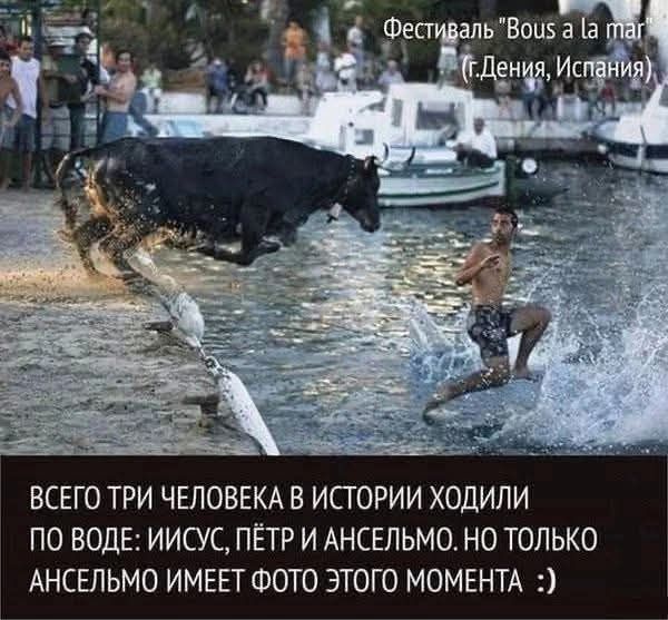 Фестиваль 