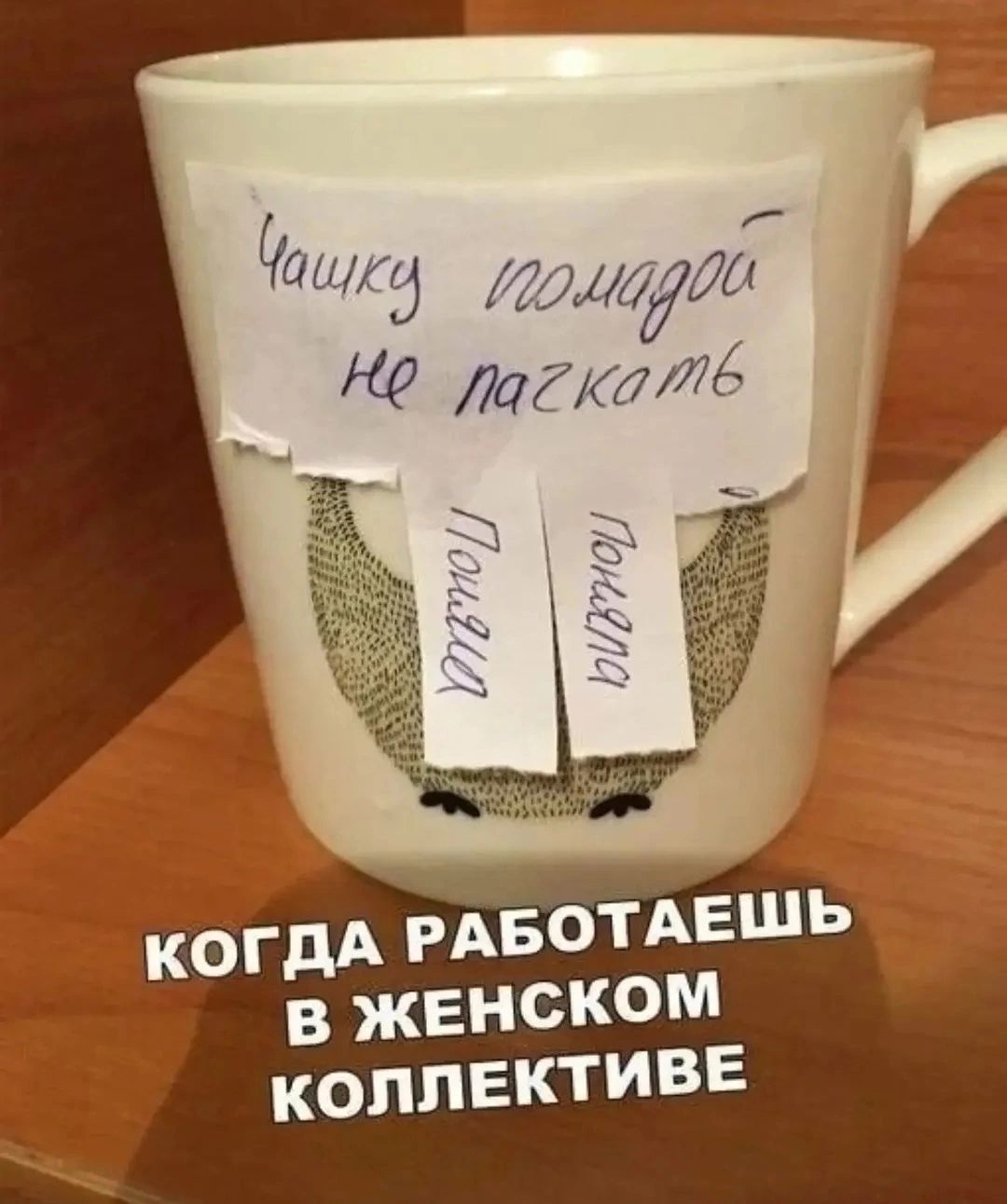 Чашку помадой не пачкать Поняла Поняла КОГДА РАБОТАЕШЬ В ЖЕНСКОМ КОЛЛЕКТИВЕ