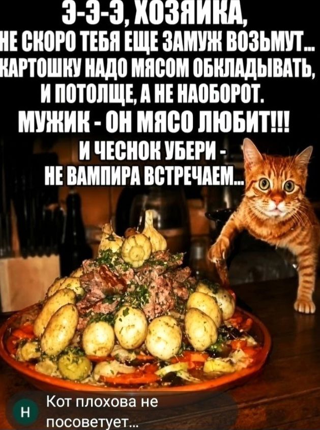 Э-Э-Э, ХОЗЯЙКА, НЕ СКОРО ТЕБЯ ЕЩЕ ЗАМУЖ ВОЗЬМУТ... КАРТОШКУ НАДО МЯСОМ ОБКЛАДЫВАТЬ, И ПОТОЛЩЕ, А НЕ НАОБОРОТ. МУЖИК - ОН МЯСО ЛЮБИТ!!! И ЧЕСНОК УБЕРИ - НЕ ВАМПИРА ВСТРЕЧАЕМ... Кот плохого не посоветует...