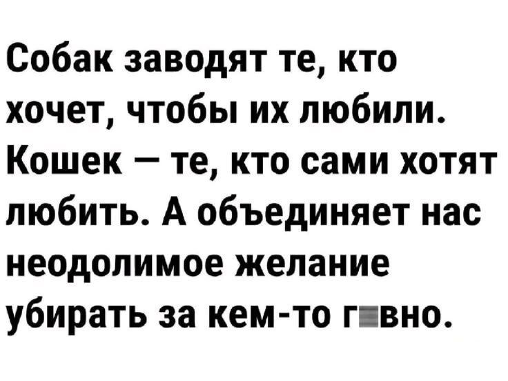 Собак заводят те, кто хочет, чтобы их любили. Кошек — те, кто сами хотят любить. А объединяет нас неодолимое желание убирать за кем-то говно.