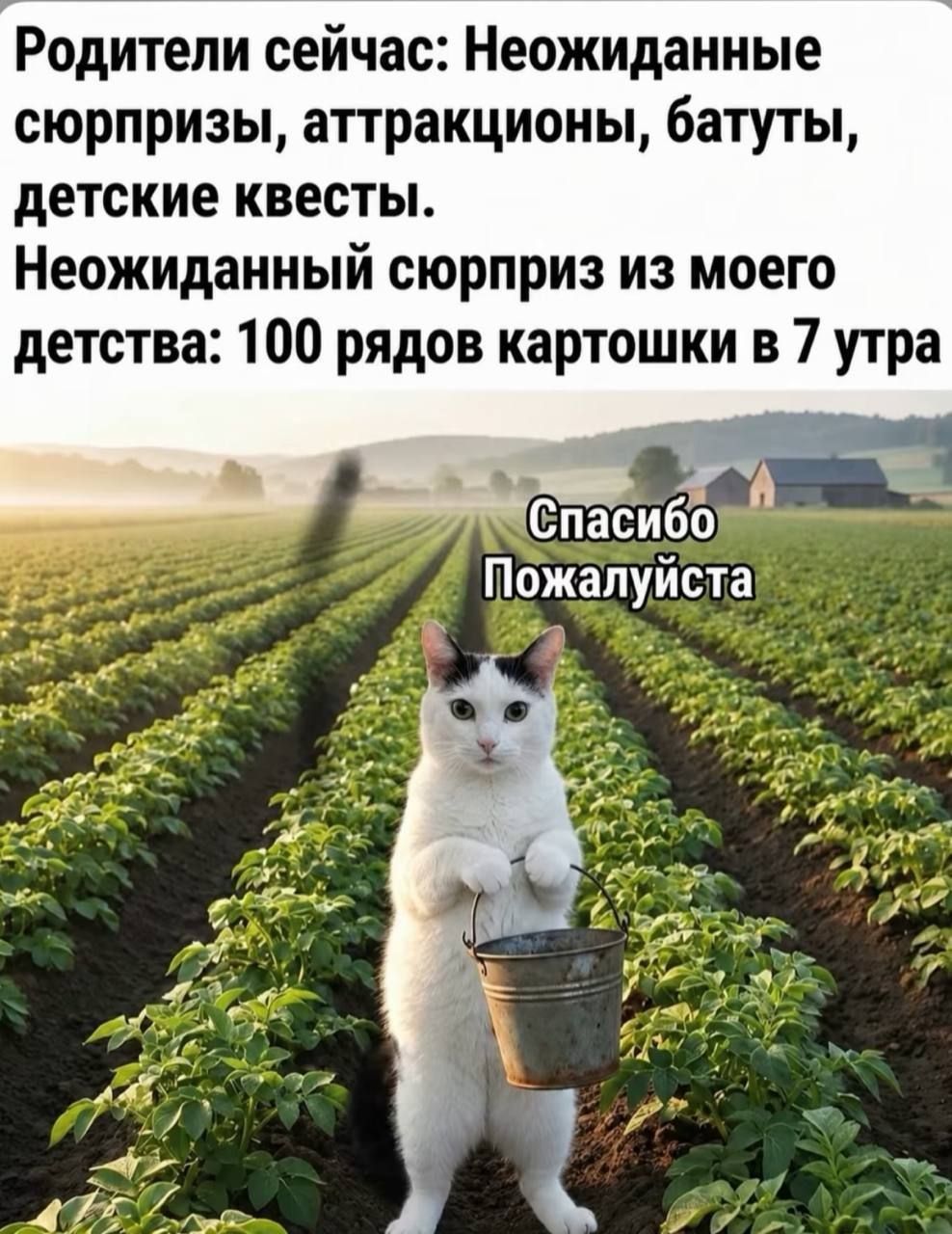 Родители сейчас: Неожиданные сюрпризы, аттракционы, батуты, детские квесты. Неожиданный сюрприз из моего детства: 100 рядов картошки в 7 утра. Спасибо Пожалуйста