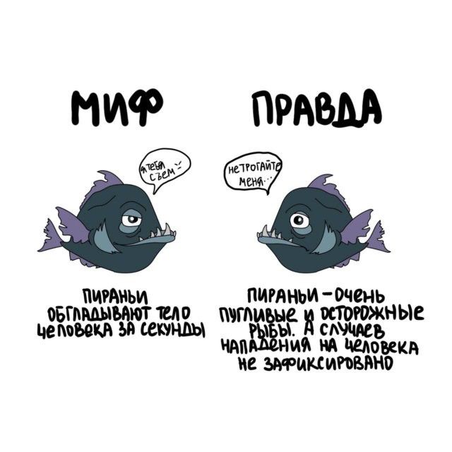 МИФ Я ТЕБЯ СЪЕМ ПИРАНЬИ ОБГЛАДЫВАЮТ ТЕЛО ЧЕЛОВЕКА ЗА СЕКУНДЫ ПРАВДА НЕ ТРОГАЙТЕ МЕНЯ ПИРАНЬИ - ОЧЕНЬ ПУГЛИВЫЕ И ОСТОРОЖНЫЕ РЫБЫ. А СЛУЧАЕВ НАПАДЕНИЯ НА ЧЕЛОВЕКА НЕ ЗАФИКСИРОВАНО