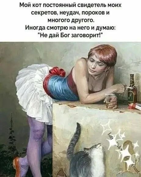 Мой кот постоянный свидетель моих секретов, неудач, пороков и многого другого. Иногда смотрю на него и думаю: 
