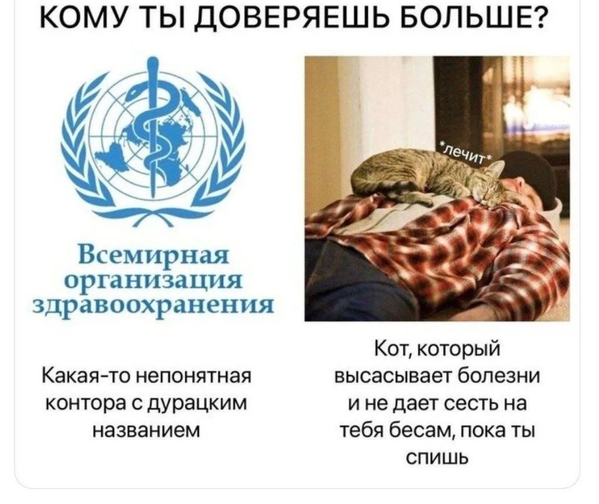 КОМУ ТЫ ДОВЕРЯЕШЬ БОЛЬШЕ? Всемирная организация здравоохранения Какая-то непонятная контора с дурацким названием *лечит* Кот, который высасывает болезни и не дает сесть на тебя бесам, пока ты спишь
