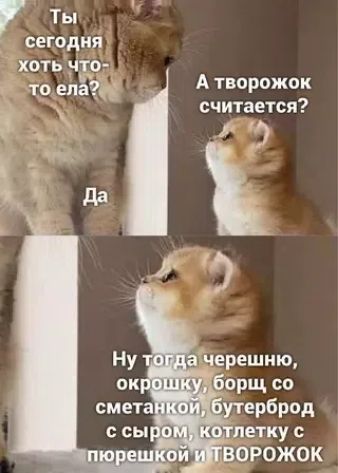 Ты сегодня хоть что-то ела? Да. А творожок считается? Ну тогда черешню, окрошку, борщ со сметанкой, бутерброд с сыром, котлетку с пюрешкой и ТВОРОЖОК
