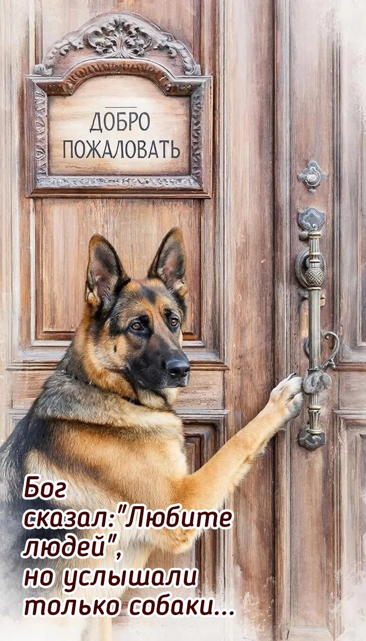 ДОБРО ПОЖАЛОВАТЬ Бог сказал: 