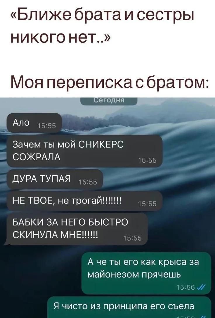 «Ближе брата и сестры никого нет..» Моя переписка с братом: Сегодня Ало Зачем ты мой СНИКЕРС СОЖРАЛА ДУРА ТУПАЯ НЕ ТВОЕ, не трогай!!!!!!! БАБКИ ЗА НЕГО БЫСТРО СКИНУЛА МНЕ!!!!!! А че ты его как крыса за майонезом прячешь Я чисто из принципа его съела
