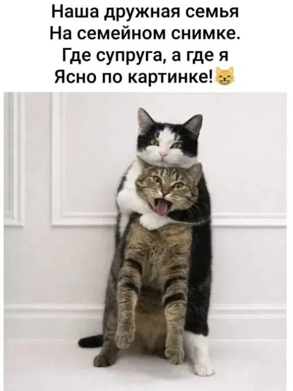 Наша дружная семья На семейном снимке. Где супруга, а где я Ясно по картинке!