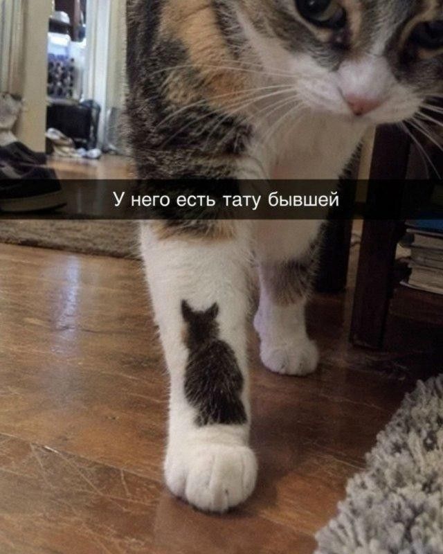 У него есть тату бывшей