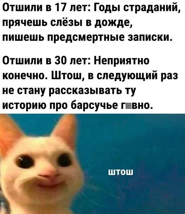 Отшили в 17 лет: Годы страданий, прячешь слёзы в дожде, пишешь предсмертные записки. Отшили в 30 лет: Неприятно конечно. Штош, в следующий раз не стану рассказывать ту историю про барсучье г☐вно. штош