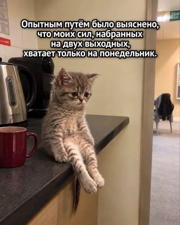 Опытным путём было выяснено, что моих сил, набранных на двух выходных, хватает только на понедельник.